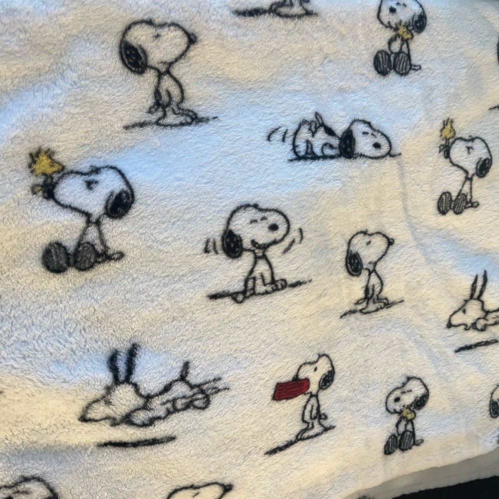 Fun Snoopy with Dog Dish and Woodstock White Plush Throw Blanket 50x70 inch